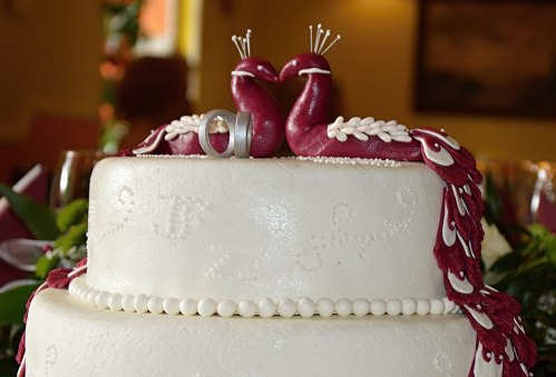 Having a wedding cake